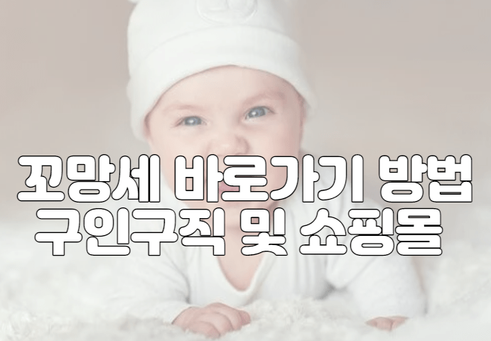 꼬망세 바로가기 방법 구인구직 및 쇼핑몰 홈페이지