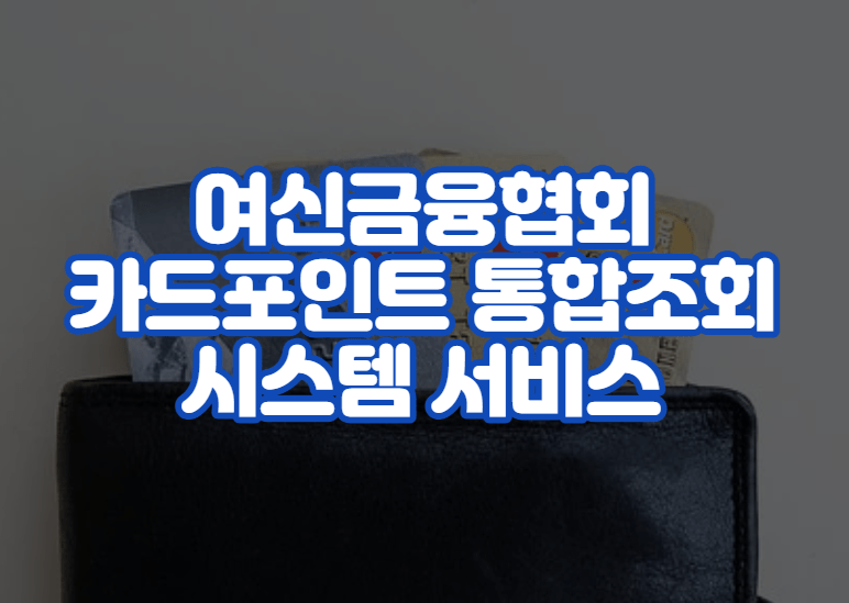 여신금융협회 카드포인트 통합조회 시스템 서비스