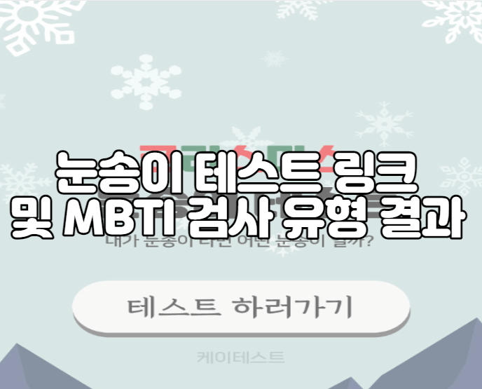 눈송이 테스트 링크 및 MBTI 검사 유형 결과 결과 확인