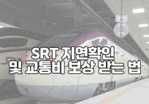 SRT 지연확인 및 교통비 보상 받는 법