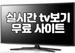 실시간 tv보기 무료 사이트