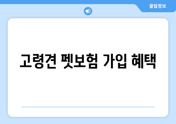 고령견 펫보험 가입 혜택