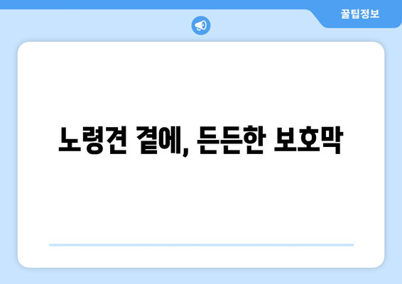 노령견 곁에, 든든한 보호막