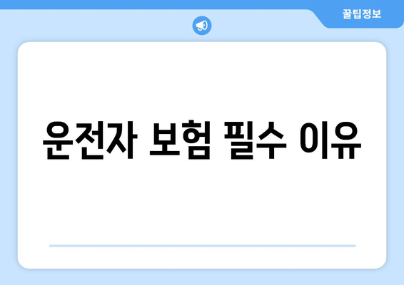 운전자 보험 필수 이유