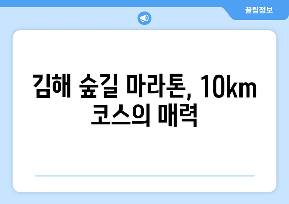 2024 김해 숲길 마라톤 10km 완주 후기| 힐링과 도전의 감동 | 김해 마라톤, 10km 코스 후기, 숲길 마라톤