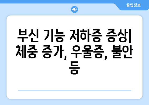 부신 기능 저하증 완벽 가이드| 증상, 원인, 치료법 총정리 | 부신, 호르몬, 스트레스, 피로, 체중 증가