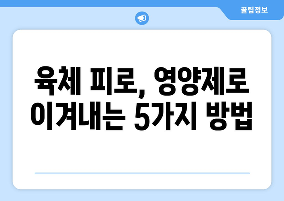 육체 피로 개선, 영양제로 효과 높이는 5가지 방법 | 피로 회복, 영양제 추천, 건강 관리