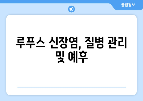 루푸스 신장염 완벽 가이드| 증상, 진행, 관리 그리고 치료 | 루푸스, 신장 질환, 면역 질환, 치료법