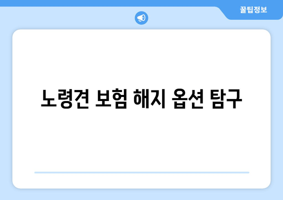 노령견 보험 해지 옵션 탐구