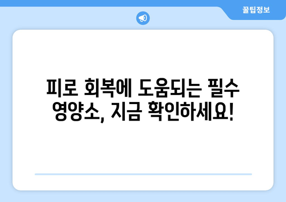 만성피로 증후군, 이제 영양제와 음식으로 이겨내세요! | 피로 회복, 건강 관리, 영양 팁