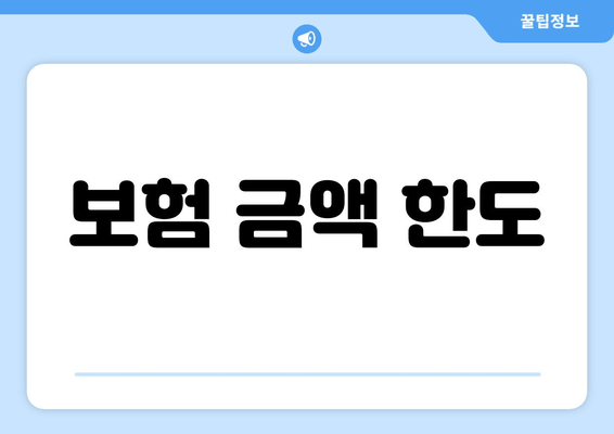 보험 금액 한도