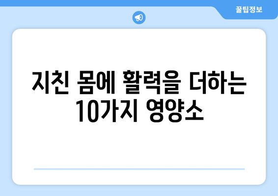 피로 회복에 효과적인 음식과 성분 10가지 | 피로 해소, 활력 증진, 건강 식단