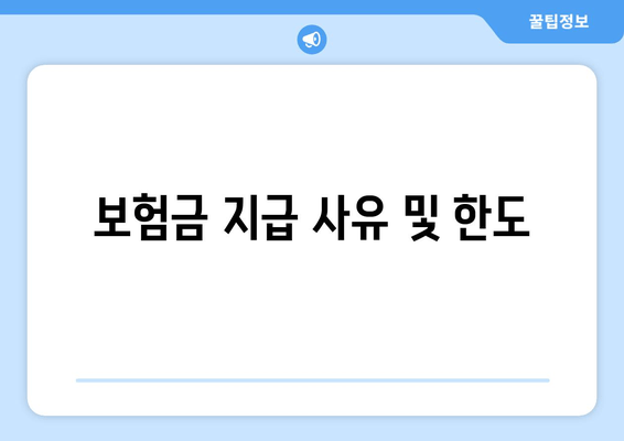 보험금 지급 사유 및 한도