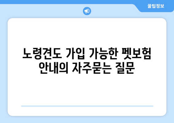 노령견도 가입 가능한 펫보험 안내