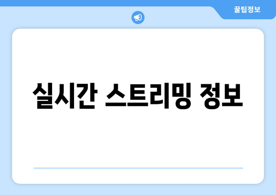 실시간 스트리밍 정보