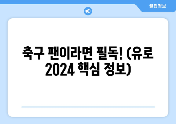 축구 팬이라면 필독! (유로 2024 핵심 정보)