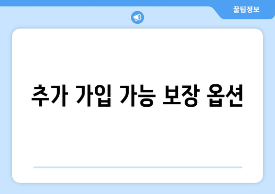 추가 가입 가능 보장 옵션