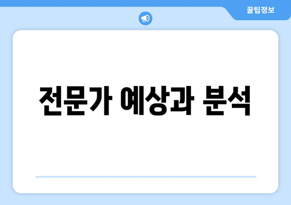 전문가 예상과 분석