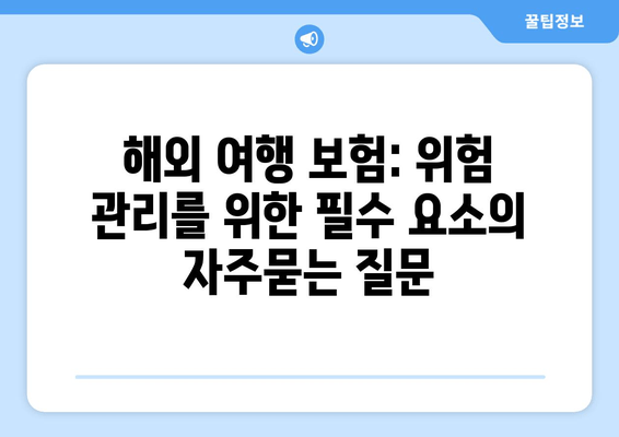 해외 여행 보험: 위험 관리를 위한 필수 요소