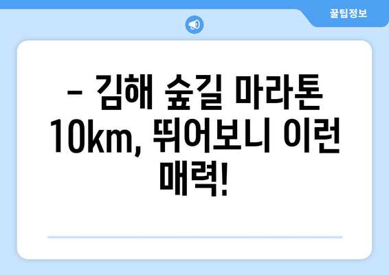 김해숲길마라톤 10km 완주 후기 (2024) | 코스 후기, 꿀팁, 솔직한 후기