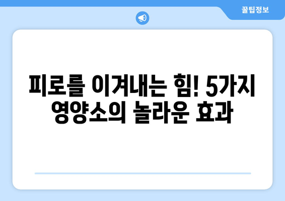 육체 피로 싹 날려줄 5가지 영양소 | 피로 회복, 체력 증진, 효과적인 영양소 섭취