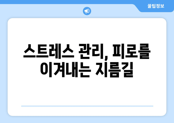 만성 피로와 무기력, 이제 그만! 극복을 위한 5가지 단계 | 피로 회복, 활력 충전, 건강 관리