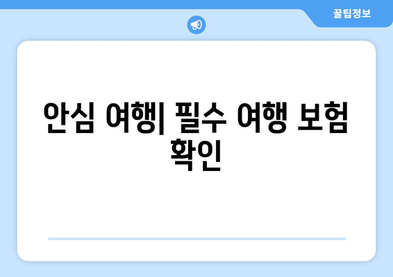 안심 여행| 필수 여행 보험 확인