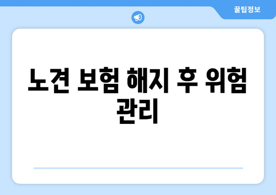 노견 보험 해지 후 위험 관리