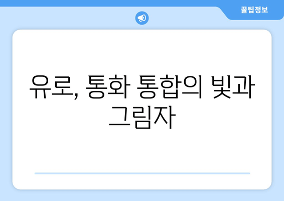 유로, 통화 통합의 빛과 그림자