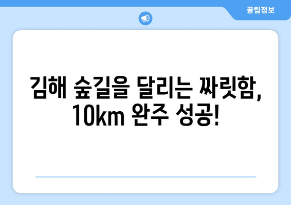 2024 김해 숲길 마라톤 10km 후기| 푸른 숲 속에서 펼친 나만의 도전 | 김해 마라톤, 10km 완주 후기, 숲길 마라톤 후기