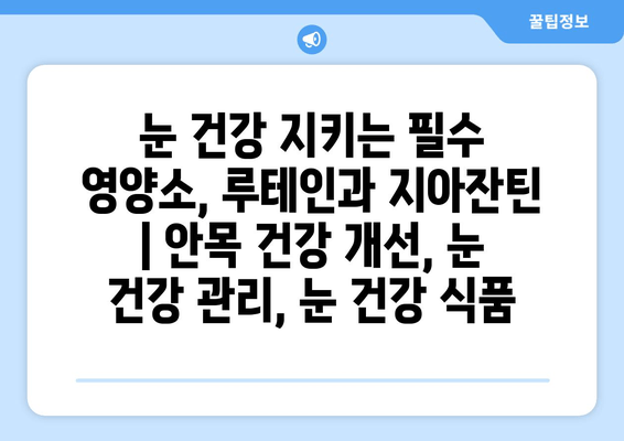 눈 건강 지키는 필수 영양소, 루테인과 지아잔틴 | 안목 건강 개선, 눈 건강 관리, 눈 건강 식품