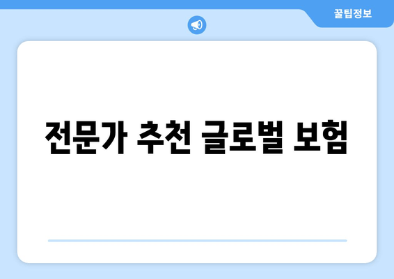 전문가 추천 글로벌 보험