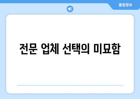 전문 업체 선택의 미묘함