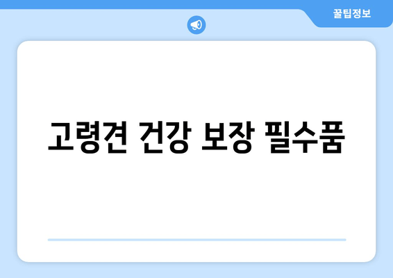 고령견 건강 보장 필수품