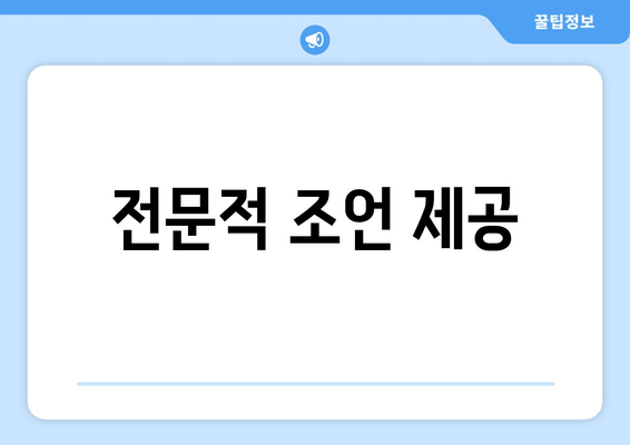 전문적 조언 제공