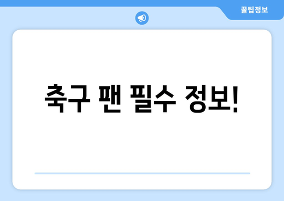 축구 팬 필수 정보!