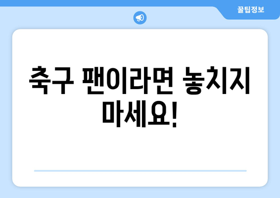 축구 팬이라면 놓치지 마세요!