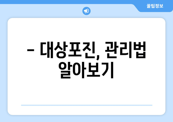 대상포진, 증상부터 치료까지 완벽 가이드 | 대상포진 증상, 원인, 치료, 예방, 관리