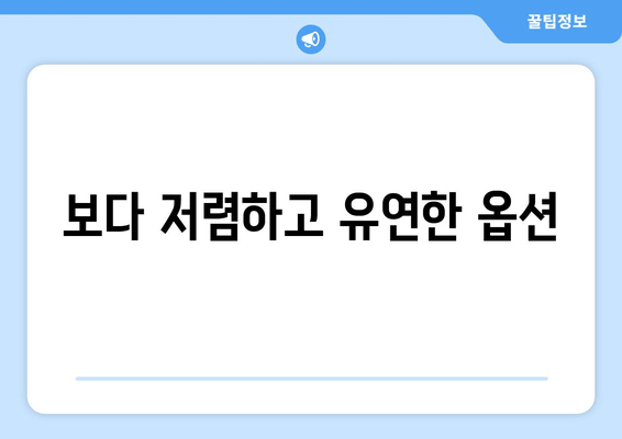 보다 저렴하고 유연한 옵션