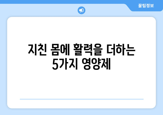 육체 피로 날리는 5가지 영양제 추천 | 피로 회복, 체력 증진, 건강 관리