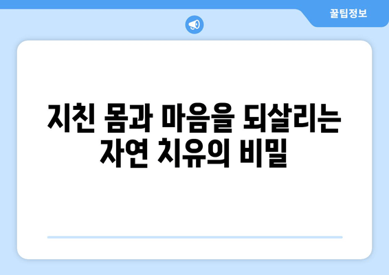 피로약 대신 자연으로! 🌿 만성피로 극복하는 7가지 방법 | 만성피로, 피로 해소, 자연 치유, 건강 팁