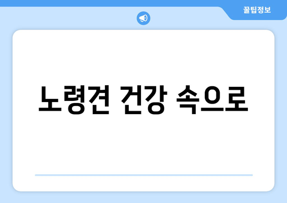 노령견 건강 속으로