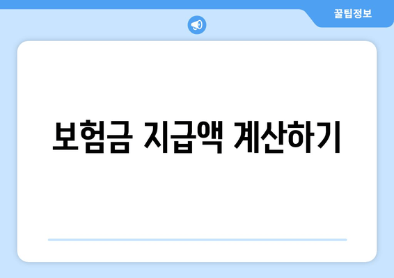 보험금 지급액 계산하기