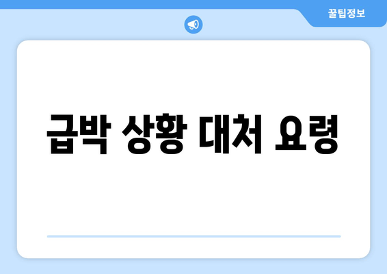 급박 상황 대처 요령