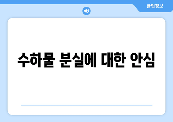 수하물 분실에 대한 안심