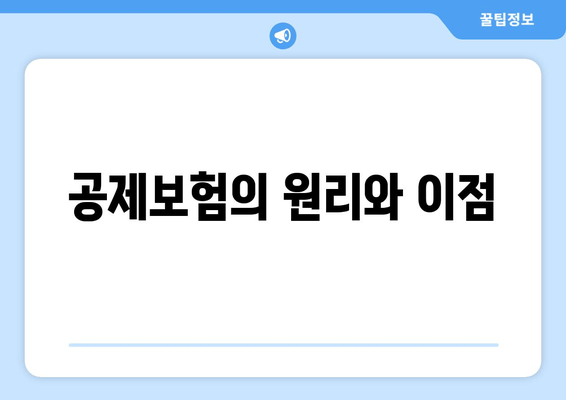 공제보험의 원리와 이점