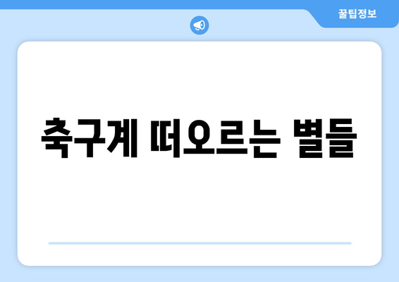 축구계 떠오르는 별들