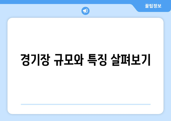 경기장 규모와 특징 살펴보기