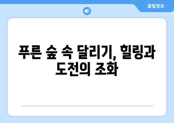 2024 김해 숲길 마라톤 10km 완주 후기| 힐링과 도전의 감동 | 김해 마라톤, 10km 코스 후기, 숲길 마라톤