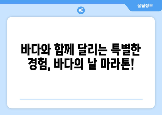 바다의 날 기념 마라톤, 푸른 바다를 향해 달리는 열정 | 바다의 날, 마라톤, 풍경, 달리기, 축제